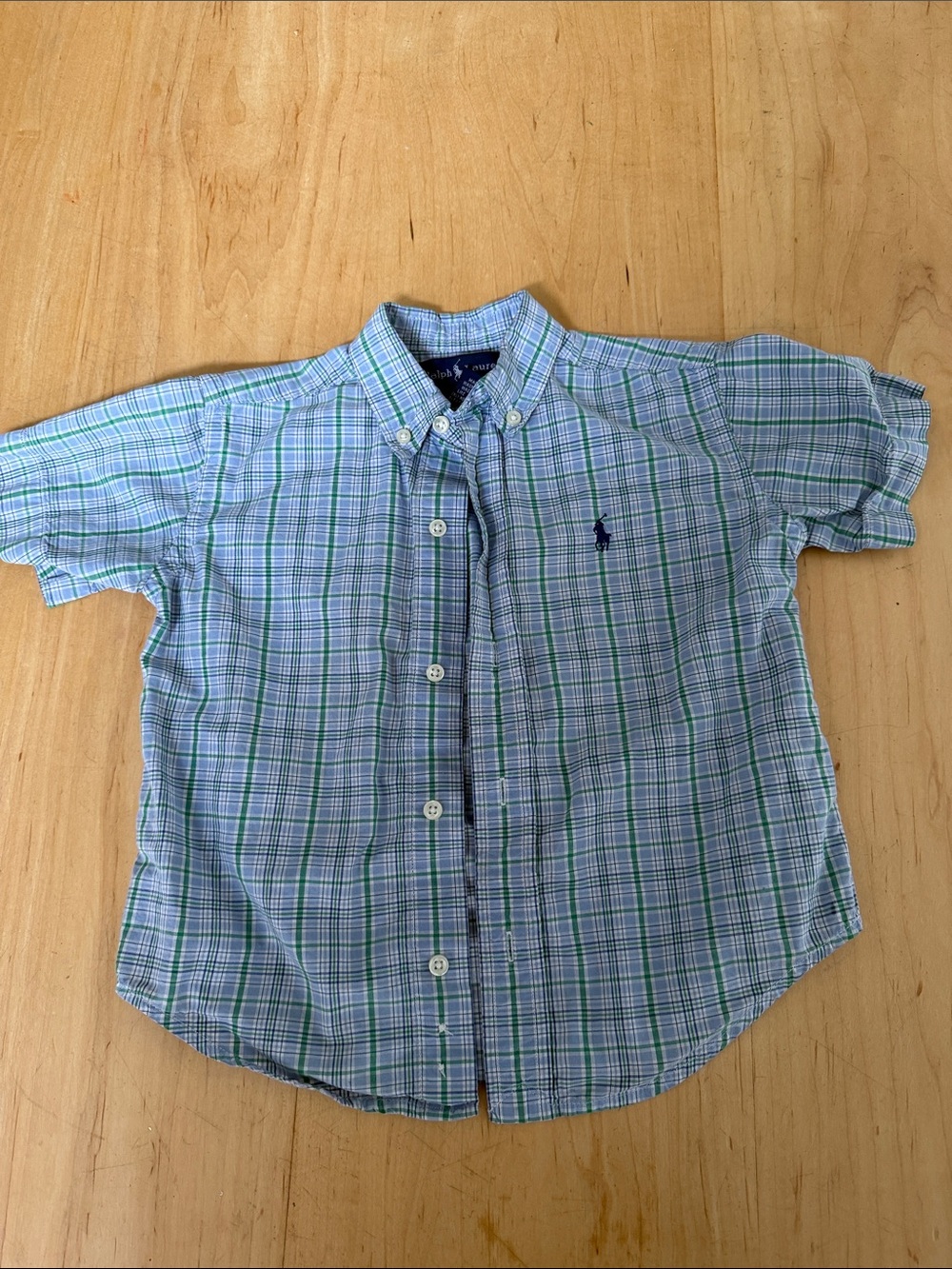 Polo by Ralph Lauren Light Blue & Green Plaid Button-Down Shirt